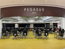 Pegasus Lounge