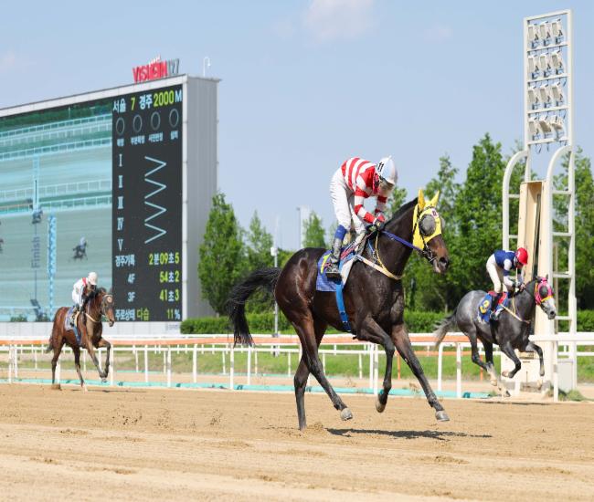 25년5월18일 스포츠조선배 '용암세상'과 이혁기수 결승선 통과 모습