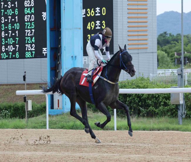 24년6월30일 오너스컵 우승마 스피드영