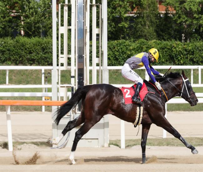 23년5월21일 YTN배 우승마 투혼의반석