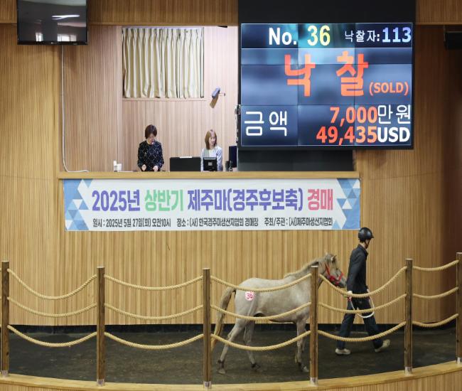 36번 최고가 낙찰마