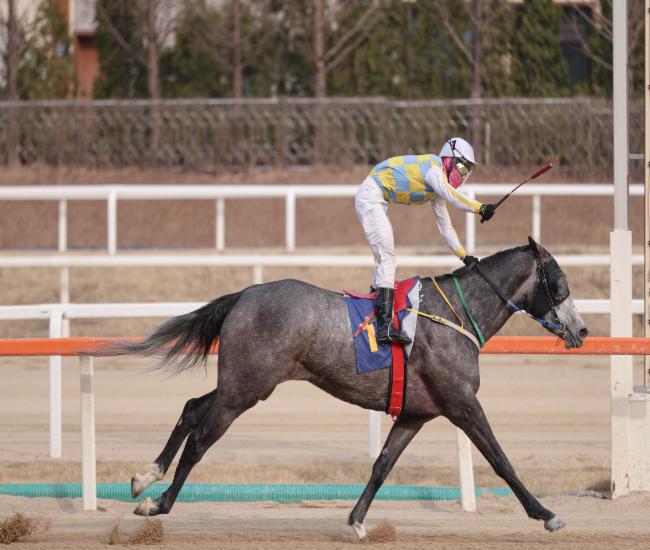 글라디우스_25년3월23일 제28회 동아일보배 우승