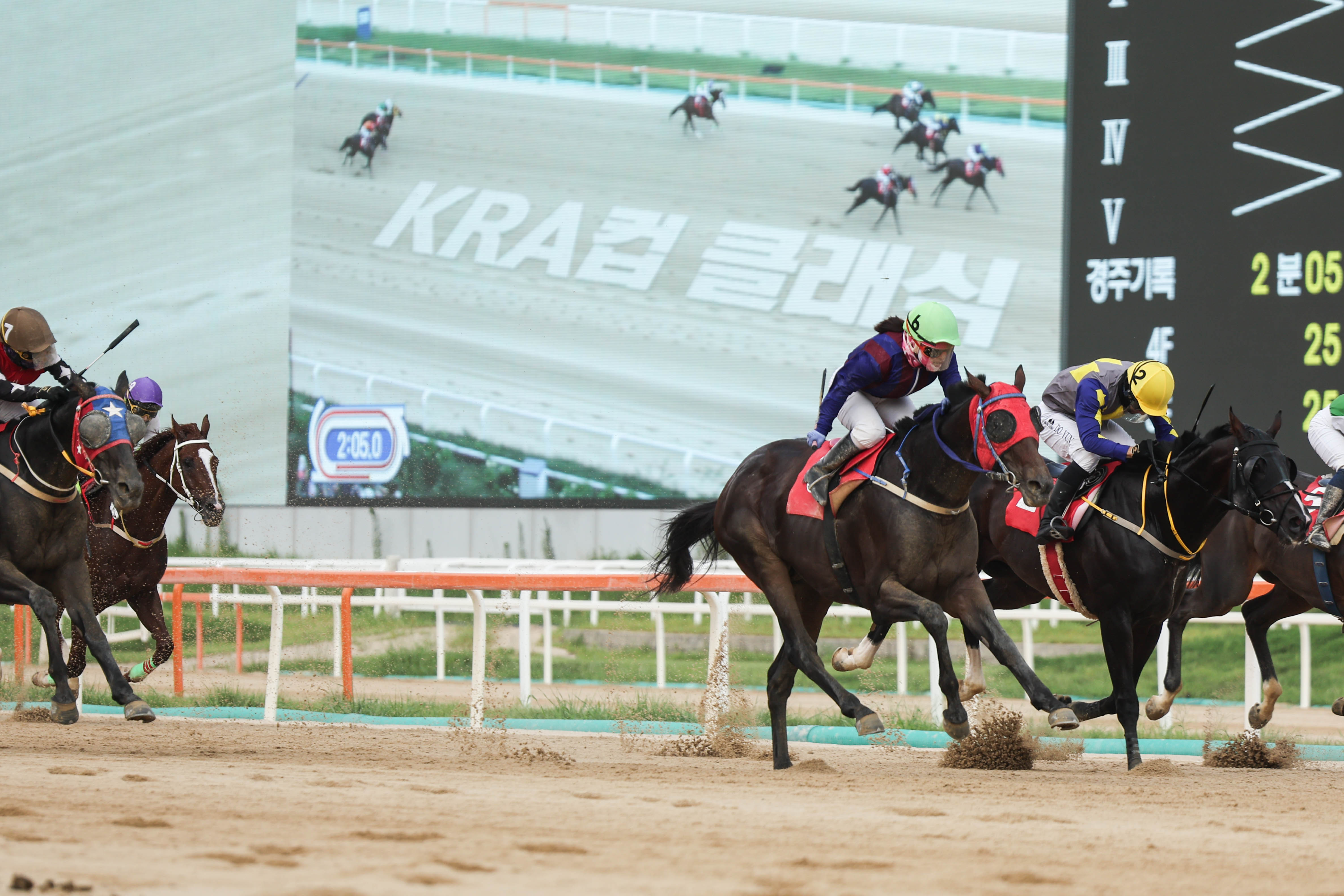  24년도 KRA컵 클래식 우승마 글로벌히트