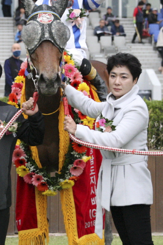  이신우 조교사18년 11월 11일 경상남도지사배