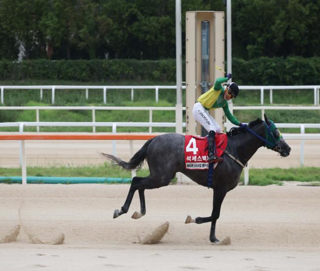 KRA컵 클래식 석세스백파와 진겸 기수가 결승선 통과하는 모습