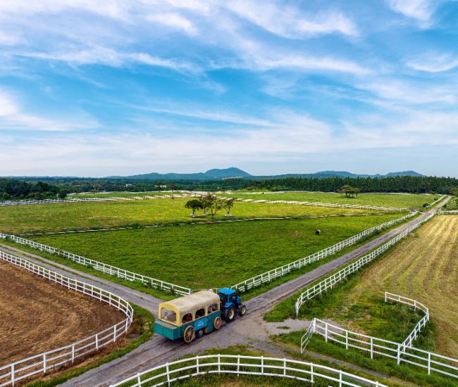제주목장 전경 제주목장 전경