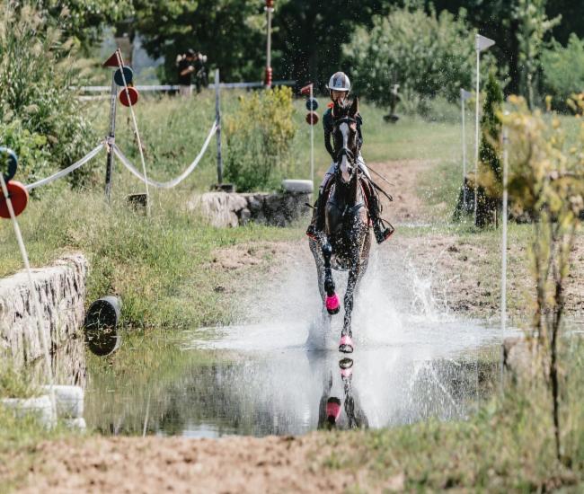 작년 농림축산식품부장관배 승마대회 작년 농림축산식품부장관배 승마대회