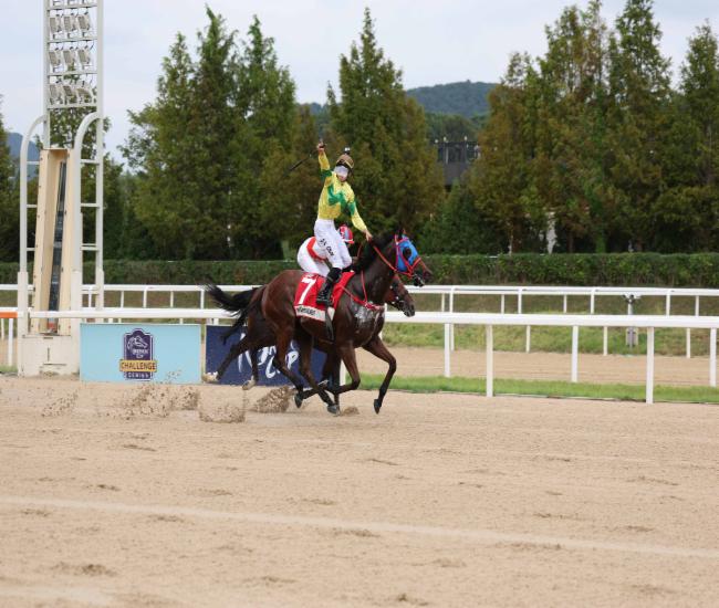 2025 코리아스프린트 우승마 홍콩의 셀프임프루브먼트