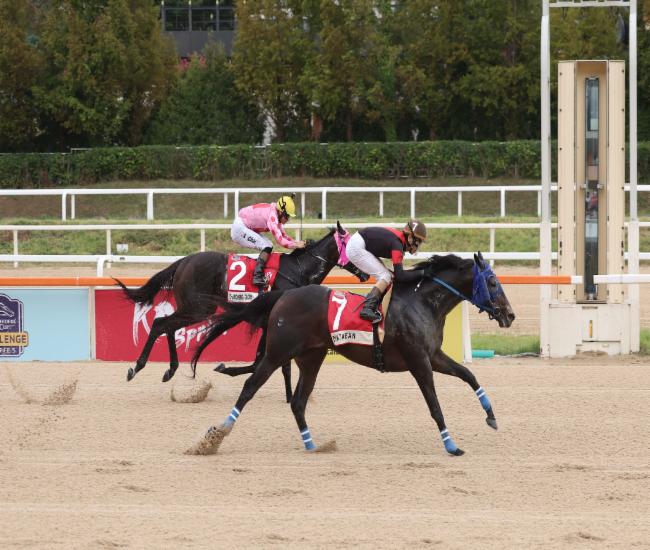 2025코리아컵 우승마 일본의 딕테이언