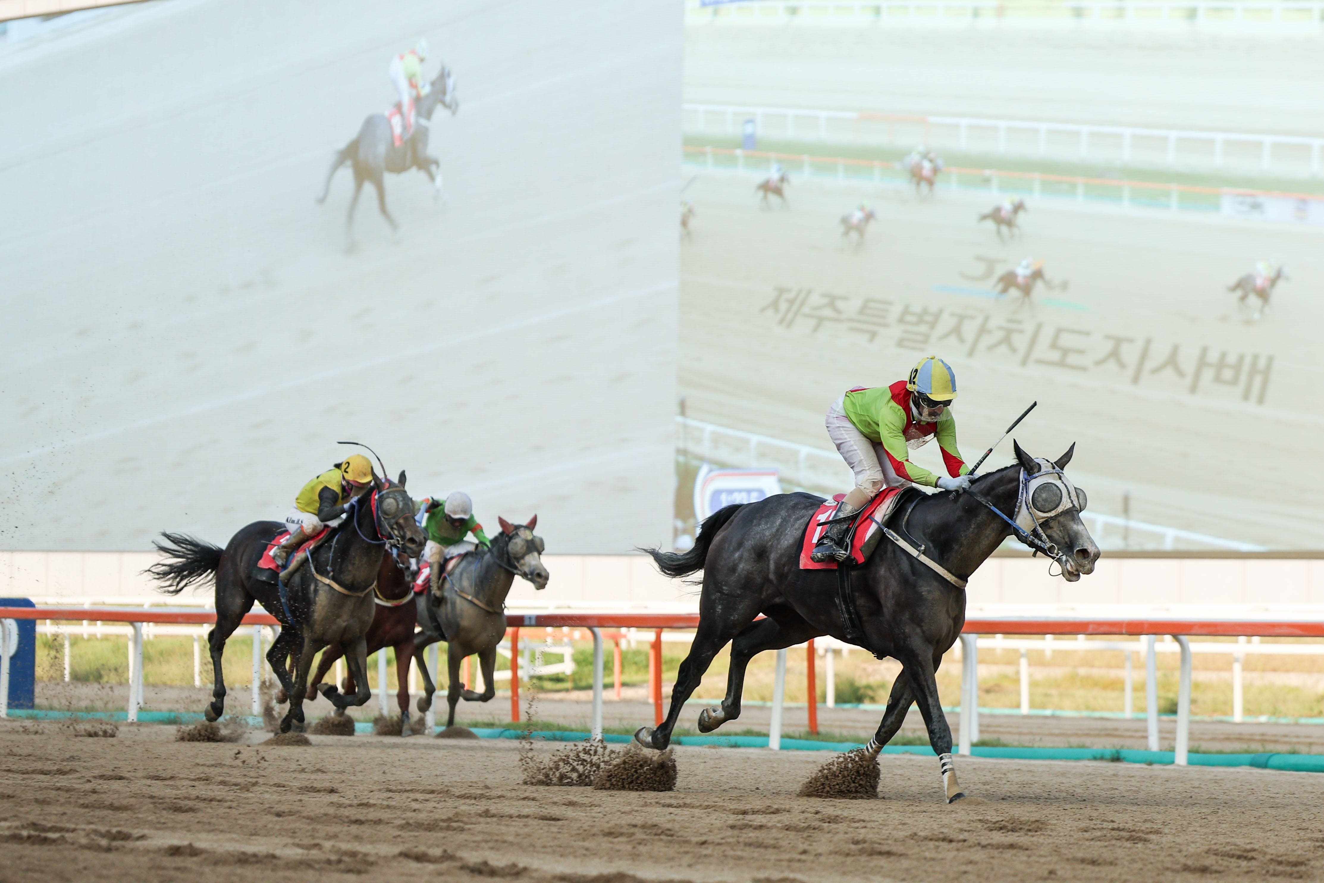 24년9월7일 제주특별자치도지사배 우승마 즐거운여정 24년9월7일 제주특별자치도지사배 우승마 즐거운여정