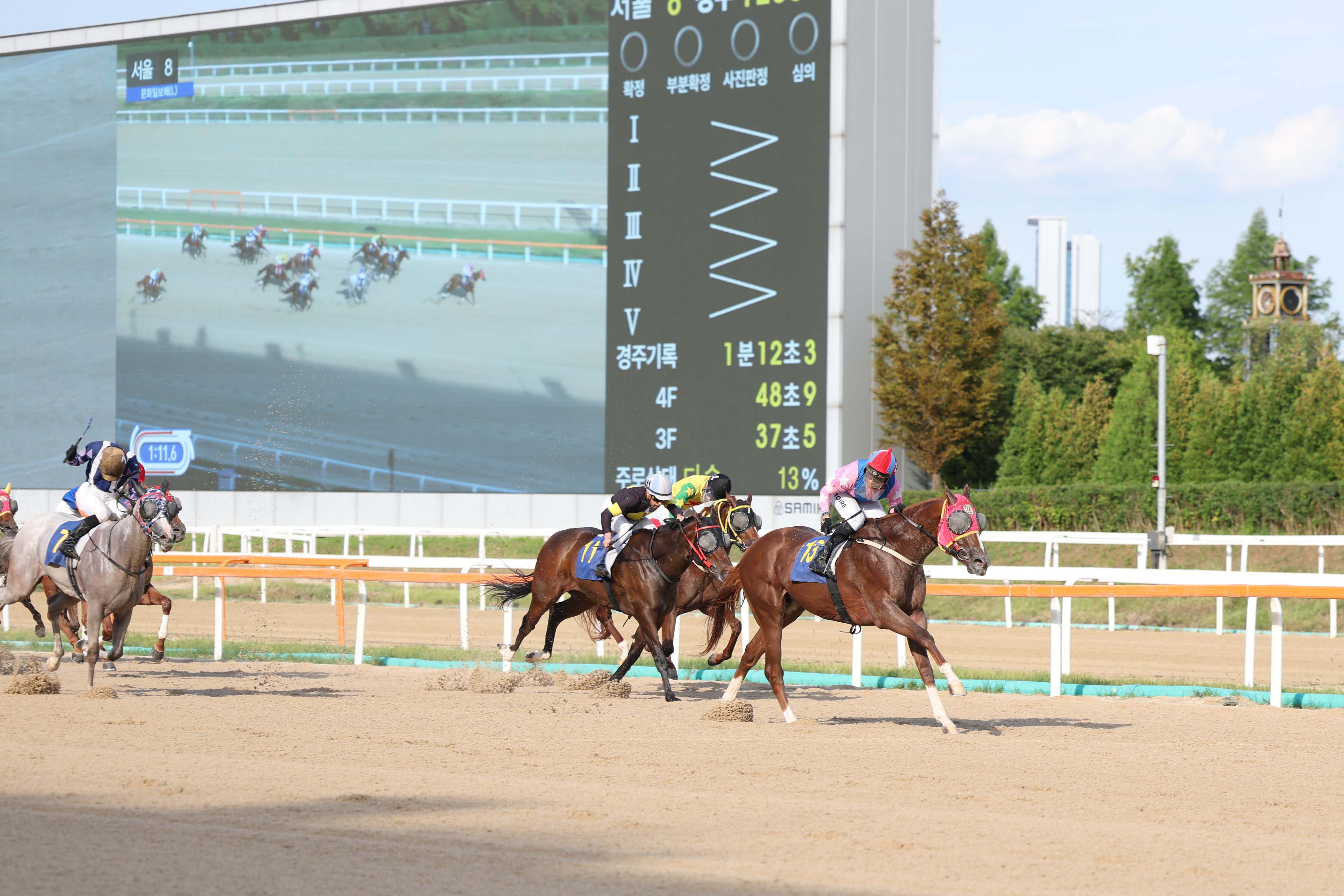 9월 14일 문화일보배 우승마 무제한급과 빅투아르 기수결승선 통과 직전 9월 14일 문화일보배 우승마 무제한급과 빅투아르 기수결승선 통과 직전