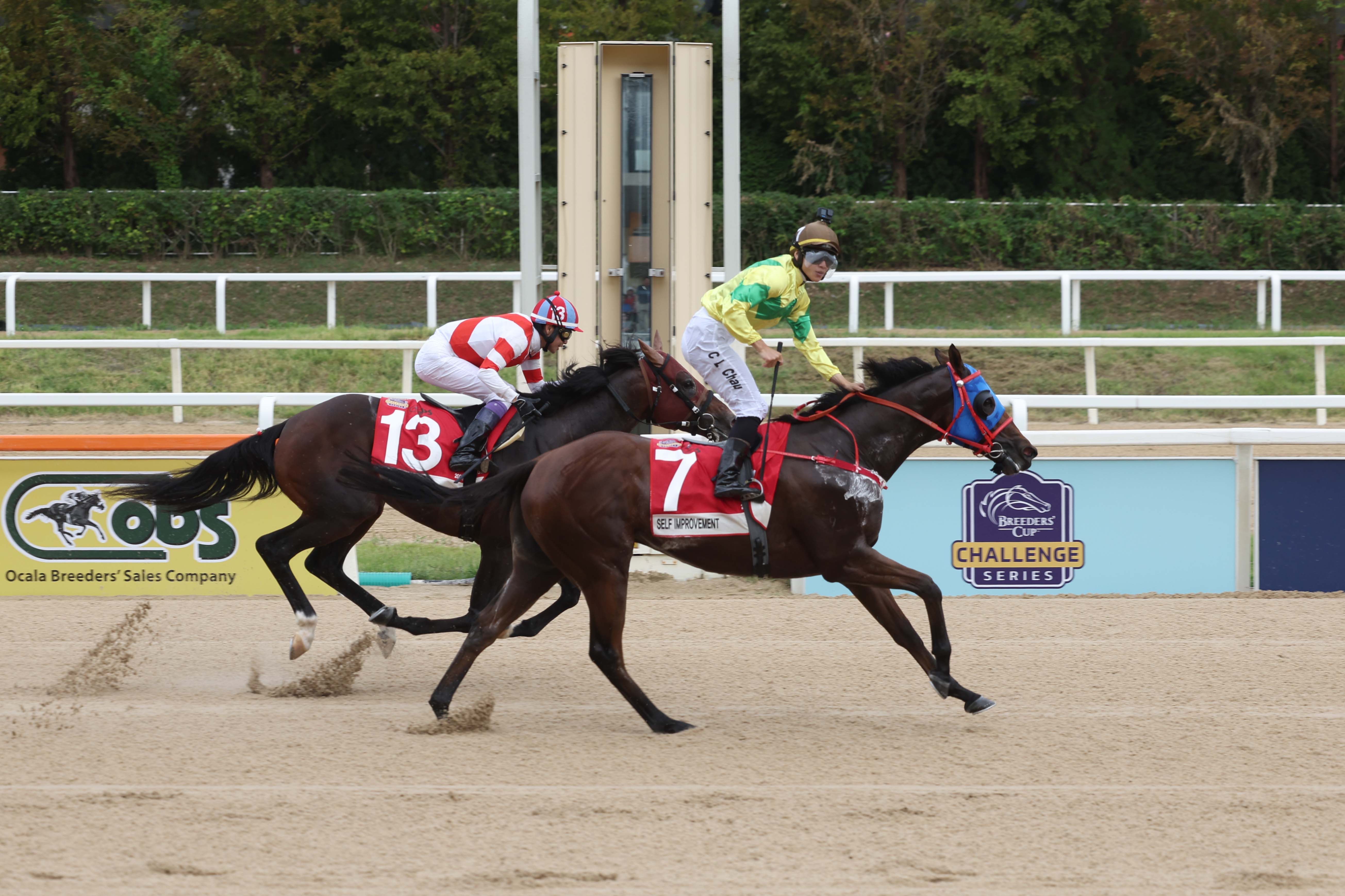 제8회 코리아스프린트 결승선 통과장면