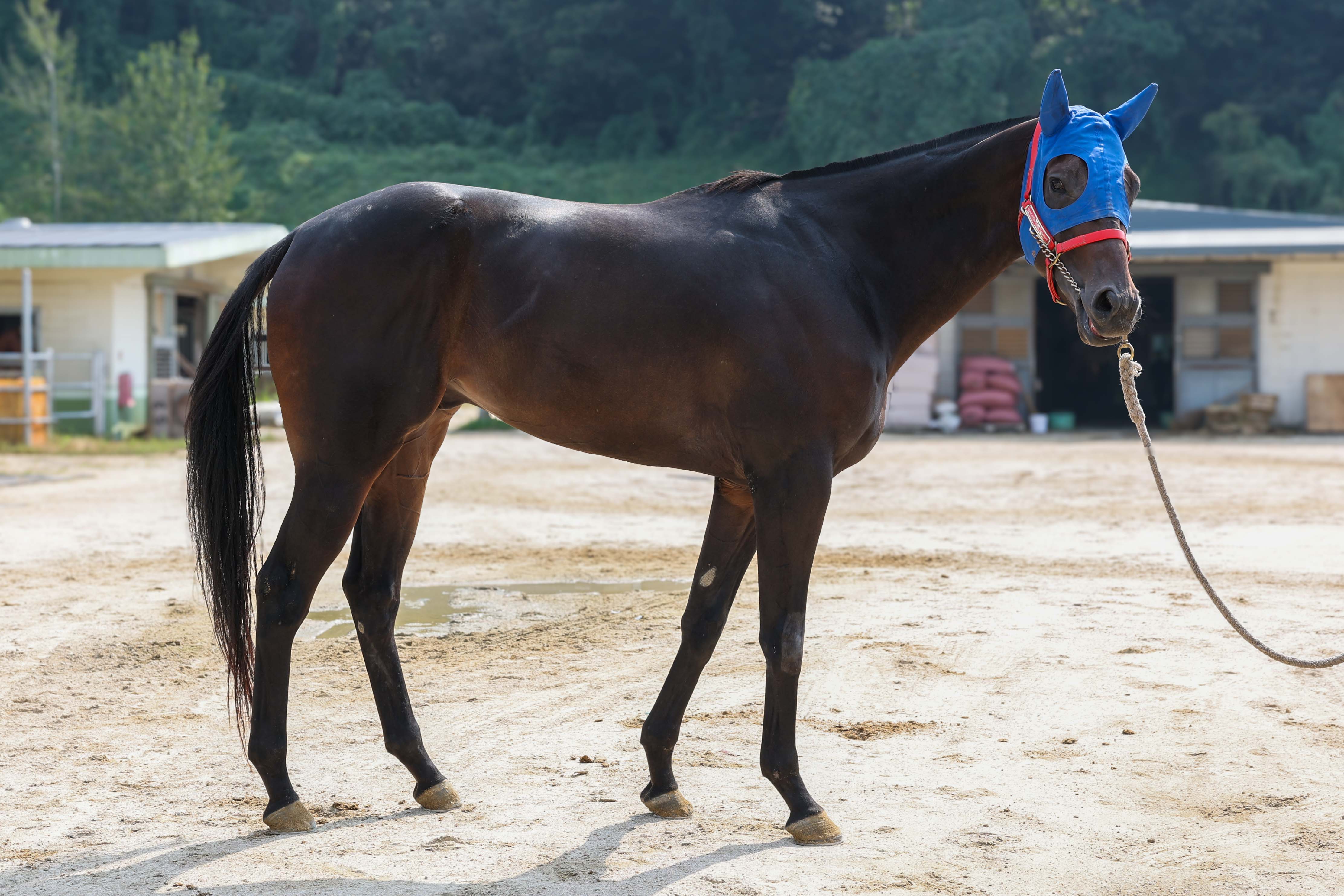  25년10월1일 문학보이