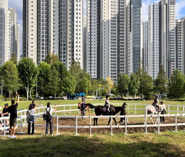 도심승마체험 현장