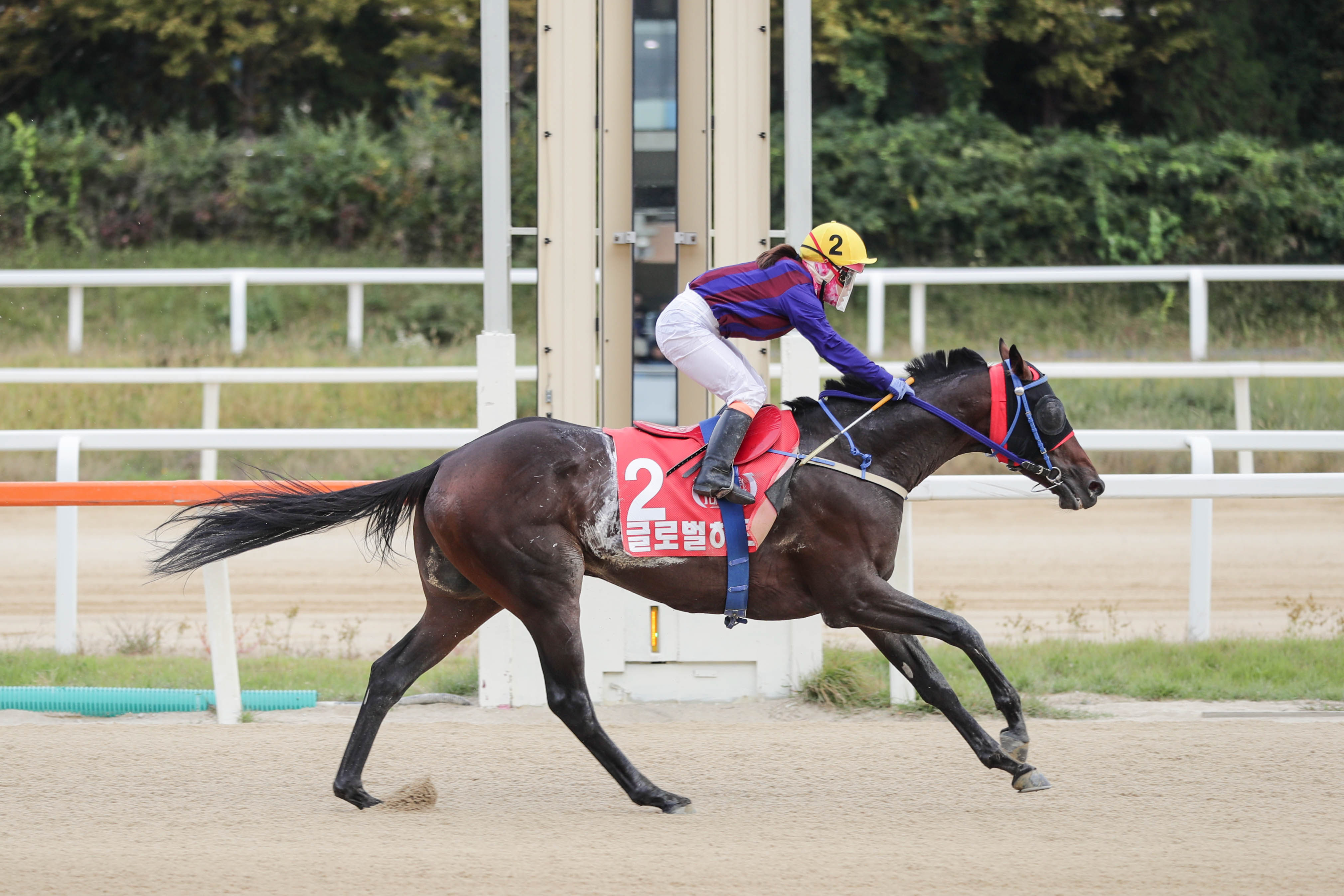  글로벌히트24년10월13일 대통령배