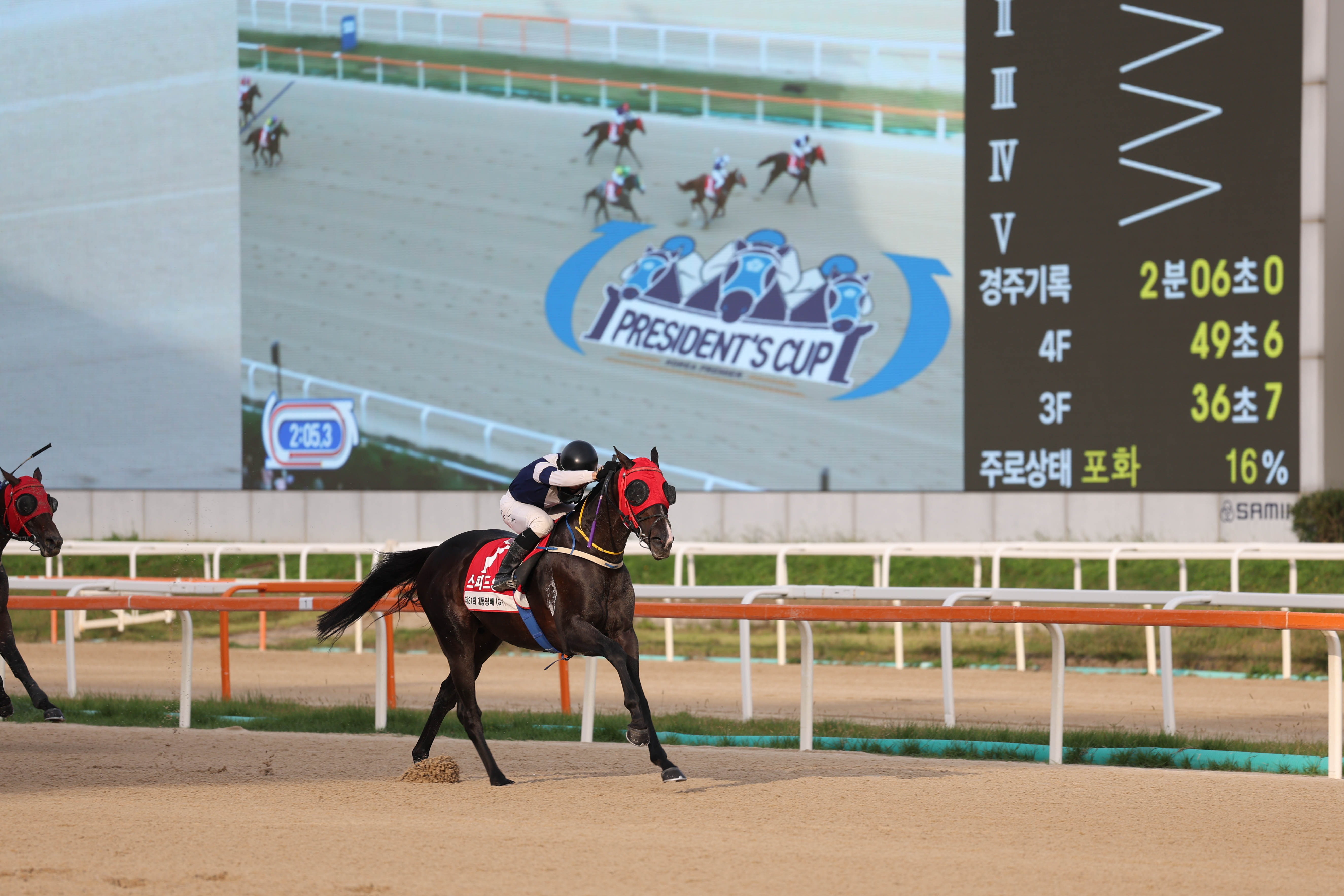제21회 대통령배 우승한 스피드영과 정도윤기수 제21회 대통령배 우승한 스피드영과 정도윤기수
