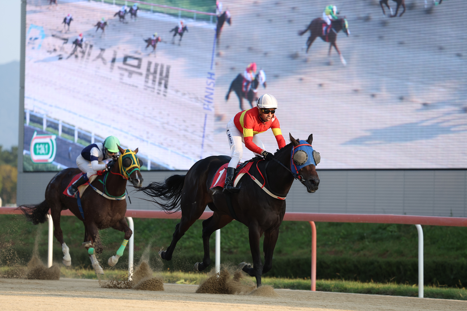  우승마 문학보이와 마이아 기수