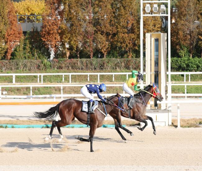 서울경제신문배 (좌)청산질주 (우)비에스스톰 서울경제신문배 (좌)청산질주 (우)비에스스톰