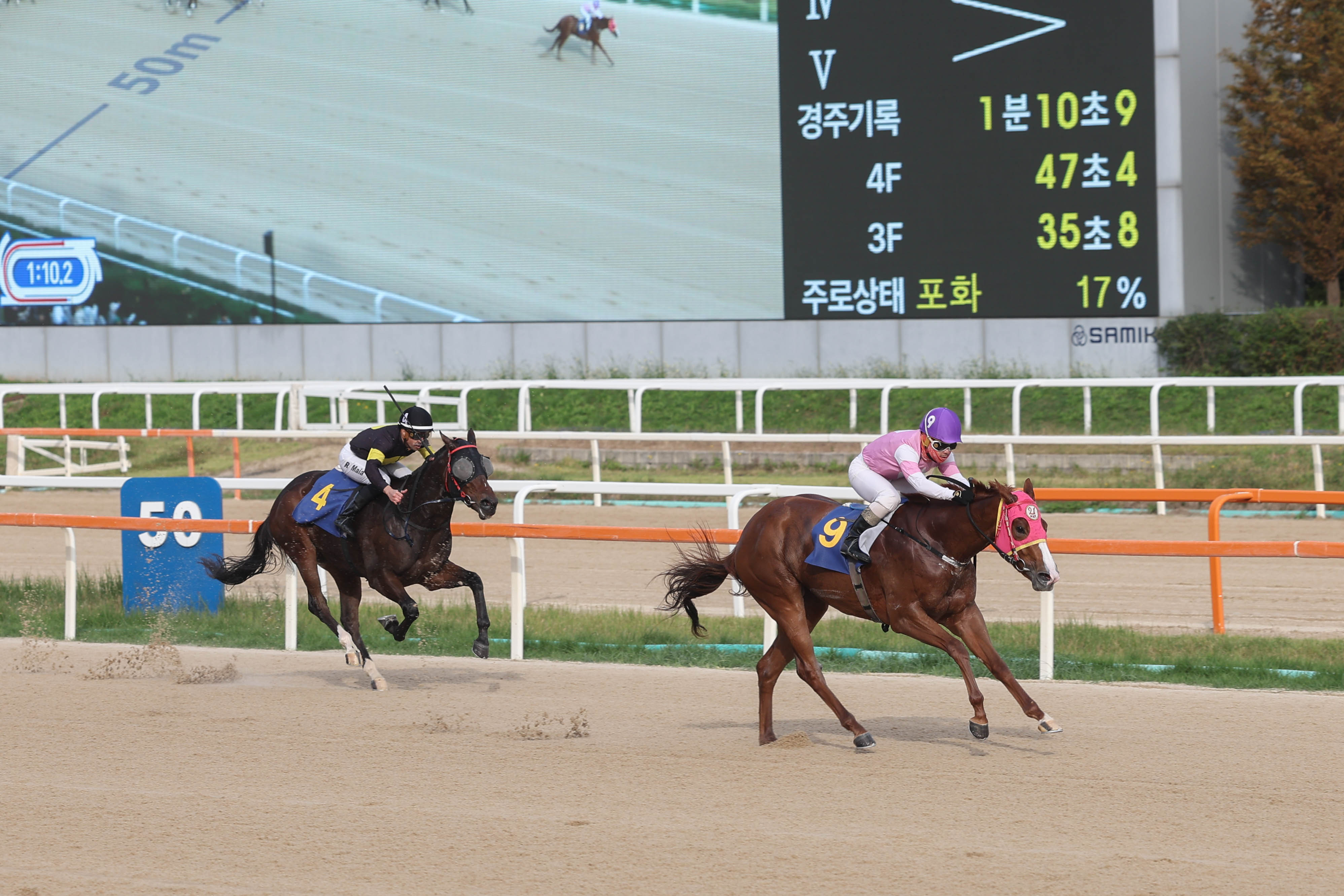  농협중앙회장배 우승마 치프스타와 최범현 기수