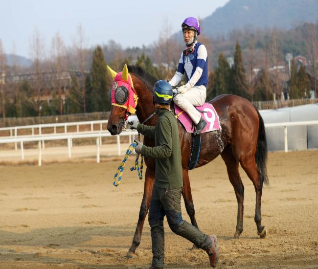 MBN배 우승마 '태양의전사'와 이동하 기수