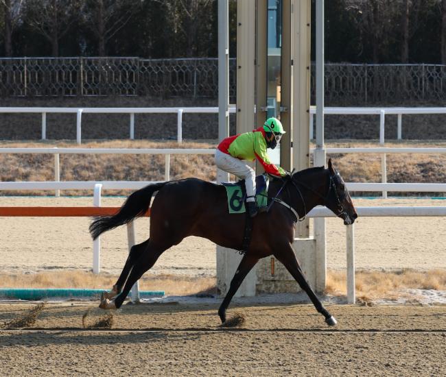 서프라이즈와 정정희 기수가 결승선을 통과하고 있다